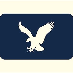 American Eagle (AEO) Men's Extreme Flex Jeans